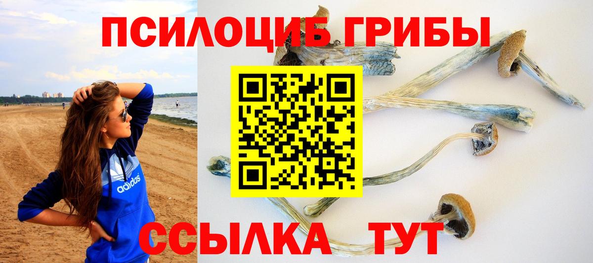 Галлюциногенные грибы мицелий Котлас