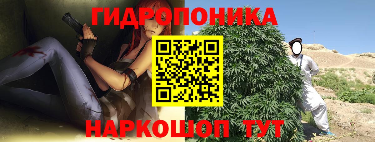 Котлас  Шишки марихуана индика  Каннабис AK-47  Вход с VPN  Канабис индика 