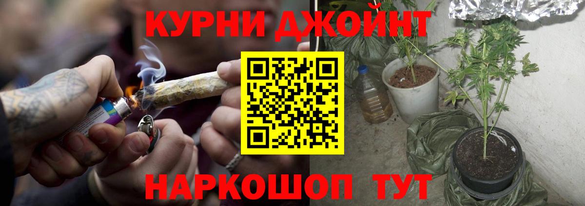 Альфа ПВП Котлас